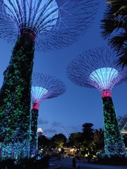 Spectacle son et lumière au Jardin de la Baie / Garden by the Bay de Singapour
