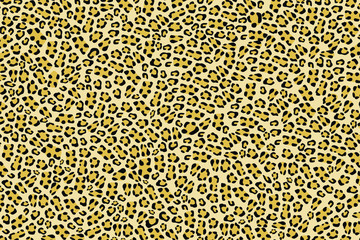 Leopard skin background.Vector illustration.