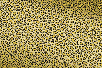 Leopard skin background.Vector illustration.