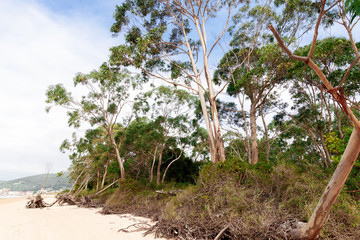 view of the cost in the north of spain