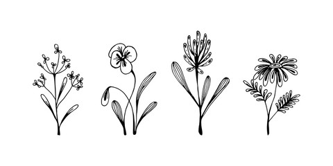 Set of hand drawn floral design elements. Vector illustration in sketch style isolated on white