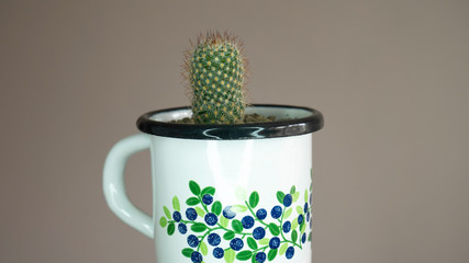 Metal cup with a cactus.