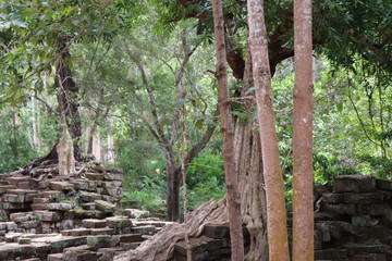 Angkor Wat Siem Reap Cambodia