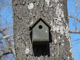 homemade birdhouse hanging on tree