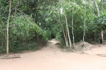 Angkor Wat Siem Reap Cambodia