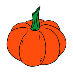 Pumpkin, vector illustration. Isolated on white background.