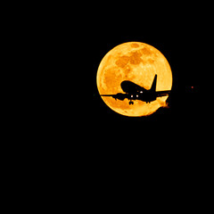 The full moon rising is a beautiful sight. Its orange glow rising © Leslie Rogers Ross