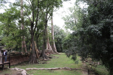 Angkor Wat Siem Reap Cambodia