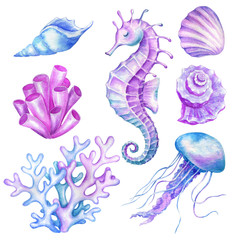 Watercolor illustration with seahorses jellyfish coral shells © Vilena