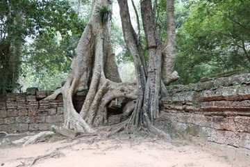 Angkor Wat Siem Reap Cambodia
