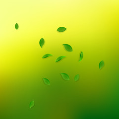 Falling green leaves. Fresh tea random leaves flyi