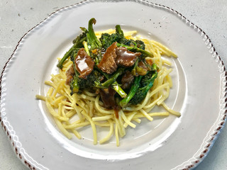 Delicious Asian Teriyaki Beef with Broccoli, Noodle and Sesame Seeds.
