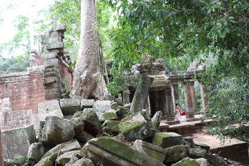 Angkor Wat Siem Reap Cambodia