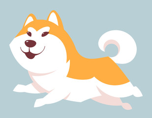 Running Akita Inu dog. Cute pet in cartoon style.
