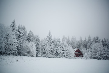 Snowy Harz Mountians in Germany