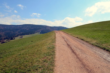 Wanderweg auf dem Geiersnest im Schwarzwald