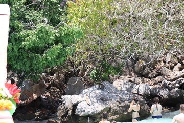 Thailand boattrip phi phi island