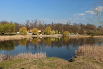 lake in the park