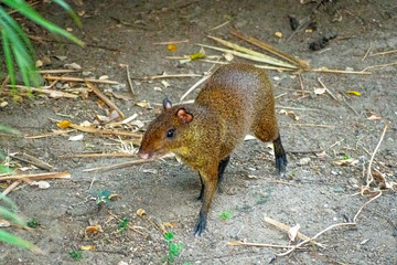 Nature's coming back