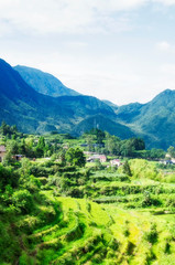 Yunhe china cloud rice terrace landscape, farm and buildings
