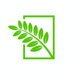 Acacia Leaves in Standing Rectangle Frame Vector