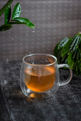 Transparent Cup of tea and plants