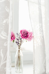 white peony wallpaper. peony in a vase on a white background. simple and abstract flower background. close up of pink flowers in vase