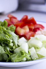Salad with lettuce, tomato, onion and cucumber