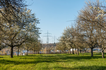 Strommasten im Fr&uuml;hjahr