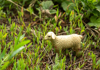 Obraz premium Plastic toy sheep in the grass.
