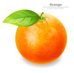 Organic orange, realistic, fresh fruit isolated white background