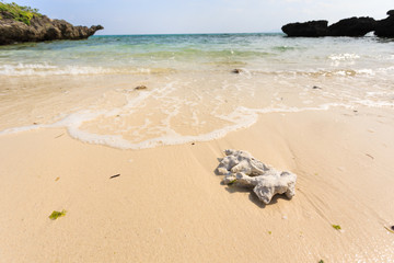 日本の国立公園・沖縄県石垣島の海岸