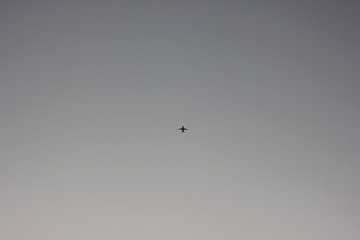 a high-flying plane in the clear morning sky