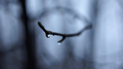 Last raindrop