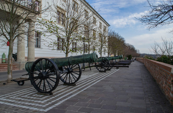 cannon in the fortress