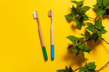 Two bamboo toothbrushes on a yellow background. a sprig of leaves of lilac. eco friendly. mock up