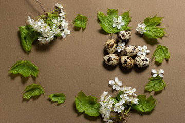 quail eggs and green maple leaf on a brown background. Mok up. place for text.