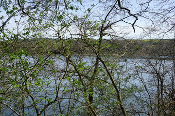Frühlingshafte, sonnige Seenlandschaft