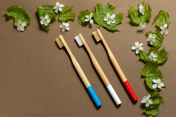 Three multi-colored toothbrushes on a brown background. frame of flowers and green leaves. eco friendly. mock up