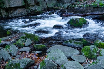 Flusslauf im Bodetal im Winter