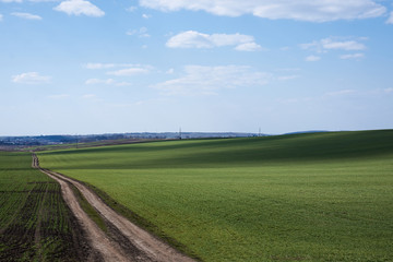 Beautiful field landscape. Countryside village rural natural background at sunny weather in spring...