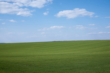Beautiful field landscape. Countryside village rural natural background at sunny weather in spring...