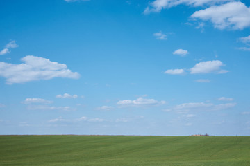 Fototapeta premium Beautiful field landscape. Countryside village rural natural background at sunny weather in spring summer. Green grass and blue sky with clouds. Nature protection concept.