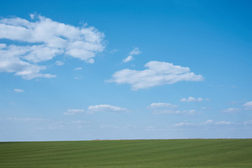 Fototapeta premium Piękny krajobraz pola. Wieś wsi wiejskie naturalne tło przy słonecznej pogodzie wiosną latem. Zielona trawa i błękitne niebo z chmurami. Koncepcja ochrony przyrody.