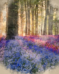 Majestic Spring landscape image of colorful bluebell flowers in woodland
