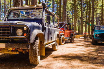 Jeeps for tourist trips are in a pine forest. Summer. The concept is outdoor activities.