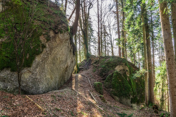 mysterious rock formation Entschenstein, a conglomerate stone monolith in the Allgau mountains near village of Weiler, Bavaria, Germany