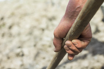 hand of a senior farmer lies on a pole of an agricultural implement, weathered hand with wrinkles,...
