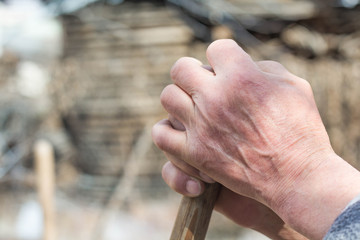 hands of a senior farmer lies on a pole of an agricultural implement, weathered hand with wrinkles, fresh food concept