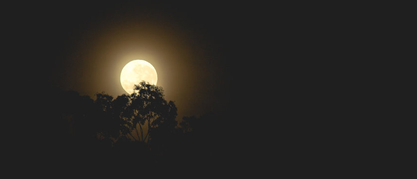 1 690 542 BESTE Maan AFBEELDINGEN STOCKFOTO S EN VECTOREN Adobe Stock